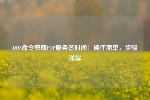 DOS命令獲取FTP服務(wù)器時間：操作簡單，步驟詳解