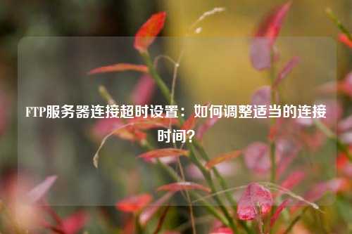 FTP服務(wù)器連接超時(shí)設(shè)置：如何調(diào)整適當(dāng)?shù)倪B接時(shí)間？