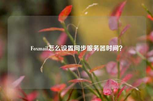 Foxmail怎么設(shè)置同步服務(wù)器時(shí)間？