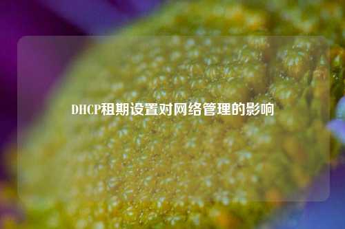 DHCP租期設置對網(wǎng)絡管理的影響