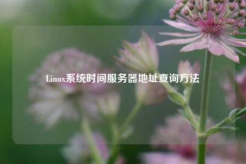 Linux系統(tǒng)時間服務(wù)器地址查詢方法