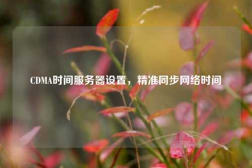 CDMA時(shí)間服務(wù)器設(shè)置，精準(zhǔn)同步網(wǎng)絡(luò)時(shí)間