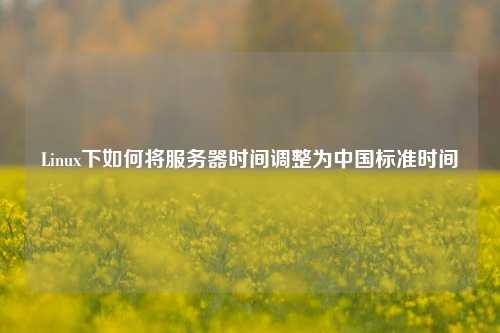 Linux下如何將服務(wù)器時(shí)間調(diào)整為中國標(biāo)準(zhǔn)時(shí)間