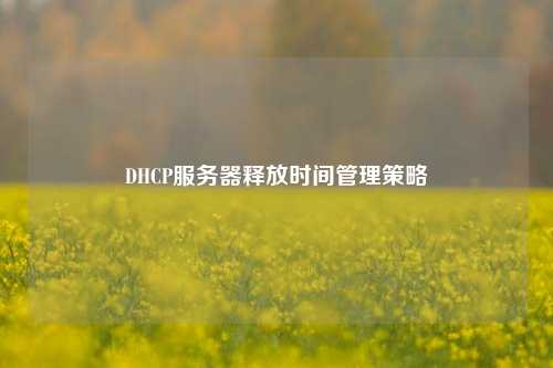 DHCP服務(wù)器釋放時間管理策略