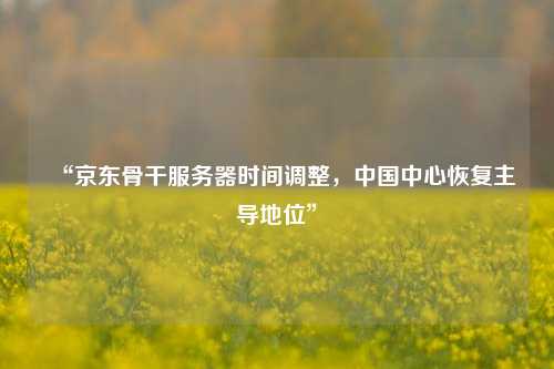 “京東骨干服務(wù)器時間調(diào)整，中國中心恢復(fù)主導(dǎo)地位”