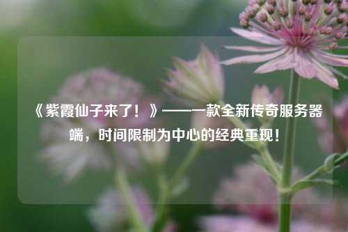 《紫霞仙子來了！》——一款全新傳奇服務(wù)器端，時間限制為中心的經(jīng)典重現(xiàn)！