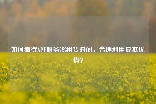 如何看待APP服務(wù)器租賃時間，合理利用成本優(yōu)勢？