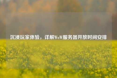 沉浸玩家體驗，詳解WoW服務(wù)器開放時間安排