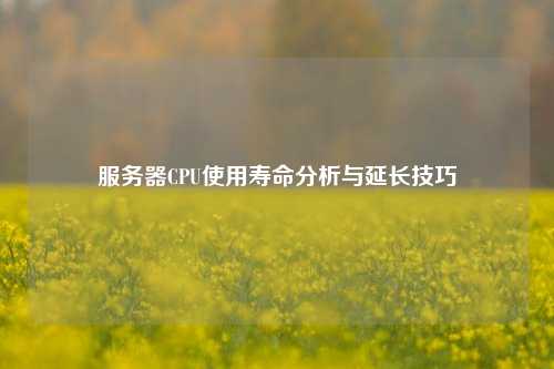 服務(wù)器CPU使用壽命分析與延長技巧