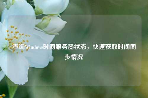 查詢Windows時(shí)間服務(wù)器狀態(tài)，快速獲取時(shí)間同步情況