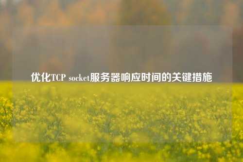 優(yōu)化TCP socket服務器響應時間的關鍵措施