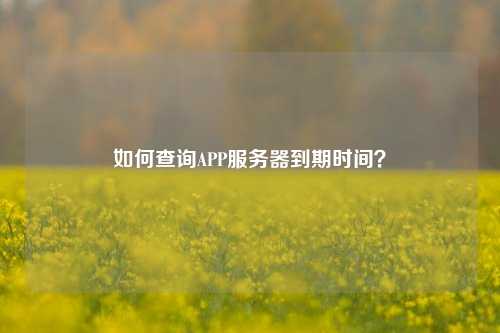 如何查詢(xún)APP服務(wù)器到期時(shí)間？