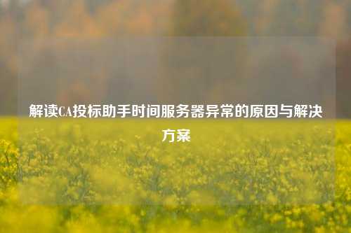 解讀CA投標(biāo)助手時(shí)間服務(wù)器異常的原因與解決方案