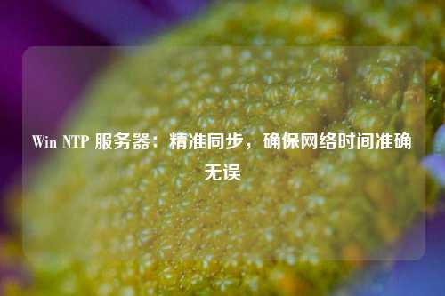 Win NTP 服務(wù)器：精準(zhǔn)同步，確保網(wǎng)絡(luò)時間準(zhǔn)確無誤