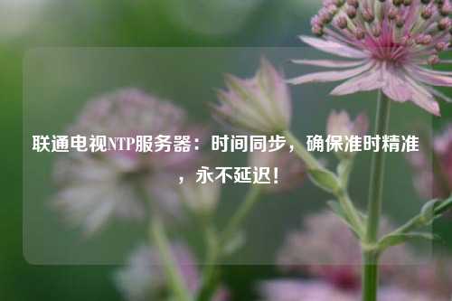 聯(lián)通電視NTP服務(wù)器：時(shí)間同步，確保準(zhǔn)時(shí)精準(zhǔn)，永不延遲！