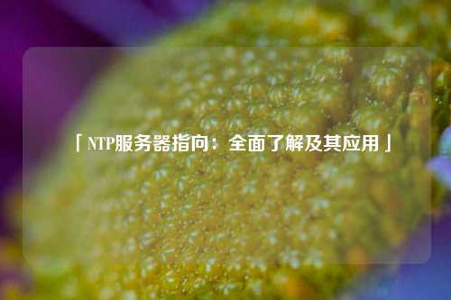 「NTP服務器指向：全面了解及其應用」