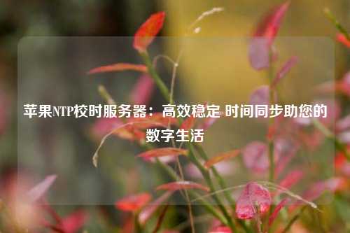 蘋果NTP校時服務(wù)器：高效穩(wěn)定 時間同步助您的數(shù)字生活