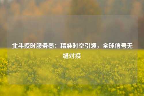 北斗授時(shí)服務(wù)器：精準(zhǔn)時(shí)空引領(lǐng)，全球信號(hào)無(wú)縫對(duì)接