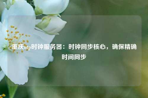 重慶ntp時(shí)鐘服務(wù)器：時(shí)鐘同步核心，確保精確時(shí)間同步