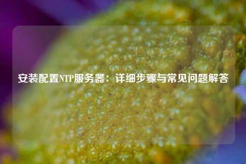 安裝配置NTP服務器：詳細步驟與常見問題解答