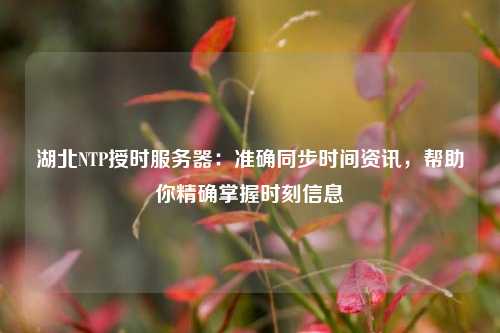 湖北NTP授時服務(wù)器：準(zhǔn)確同步時間資訊，幫助你精確掌握時刻信息