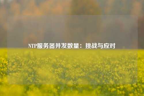 NTP服務(wù)器并發(fā)數(shù)量：挑戰(zhàn)與應(yīng)對