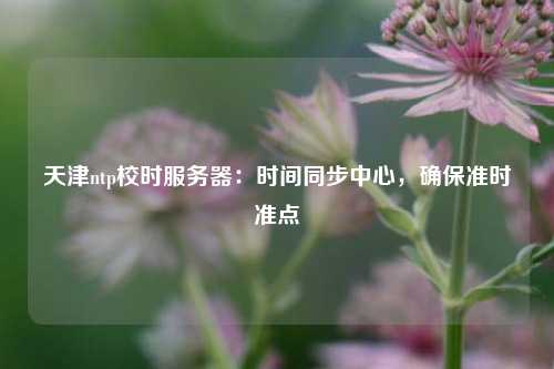 天津ntp校時服務器：時間同步中心，確保準時準點